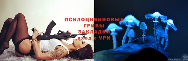мдпв Красноперекопск