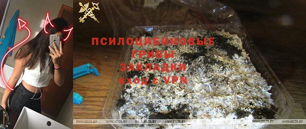 таблы Краснослободск